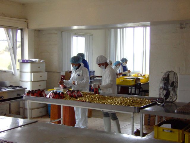 Bagging chocolates, nougats and other candies at the Chocolate factory.