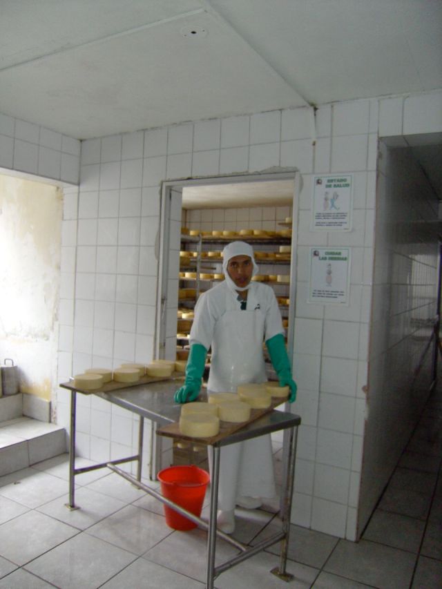 Making the Salinerito cheeses.